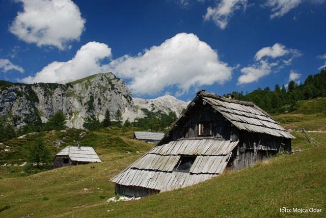 Sport agency Bohinj