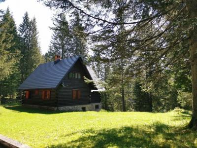 GOSTILNA POKLJUKA MUUU BAR, APARTMA POKLJUKA, ODDAJA KOČE POKLJUKA