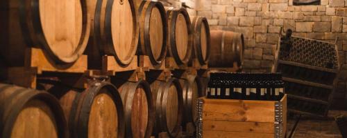 VINSKA KLET GORIŠKA BRDA