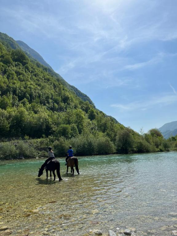 Apartment Baban Žaga Bovec