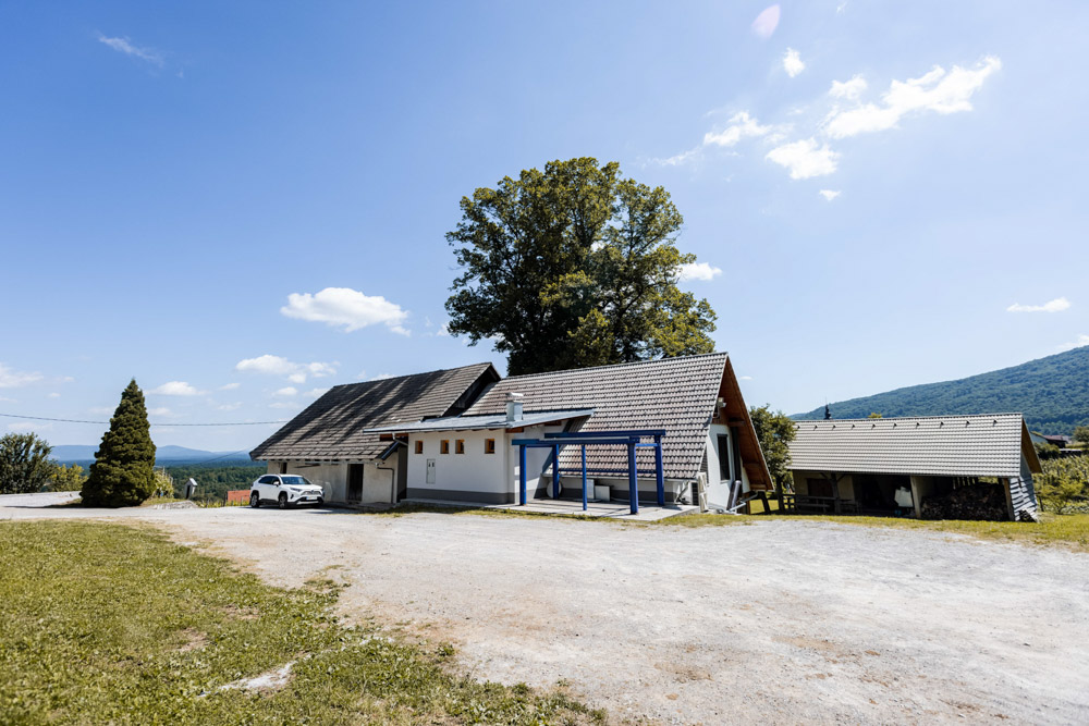 Gostilna Semič, Pod staro lipo