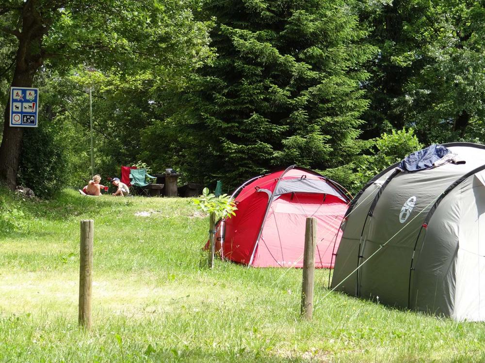 Camp Mojstrana, kamp Kamne, Zgornja Gorenjska