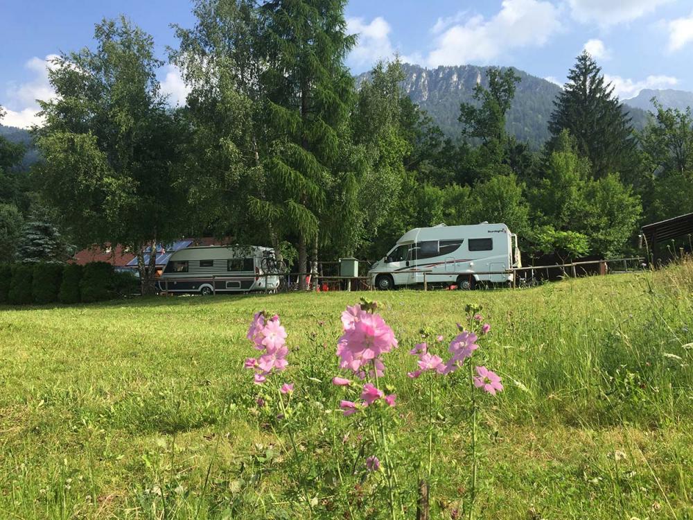 Camp Mojstrana, kamp Kamne, Zgornja Gorenjska