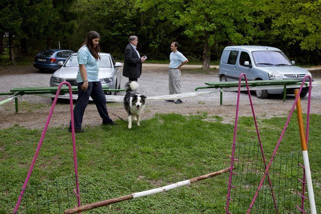 ŠPORTNO KINOLOŠKO DRUŠTVO POSTOJNA