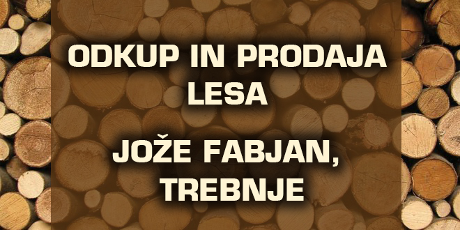 ODKUP IN PRODAJA VSEH VRST LESA - JOŽE FABJAN, TREBNJE