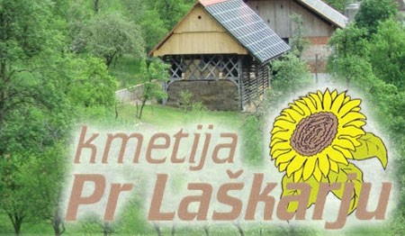 EKOLOŠKA KMETIJA LAŠKAR, BOROVNICA