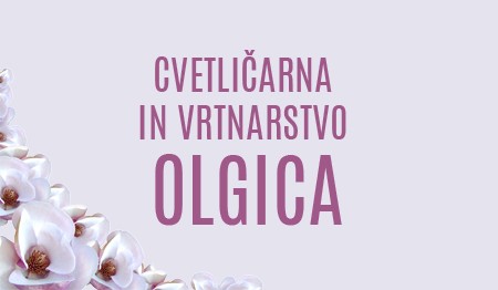 CVETLIČARNA IN VRTNARSTVO OLGICA, ČRENŠOVCI