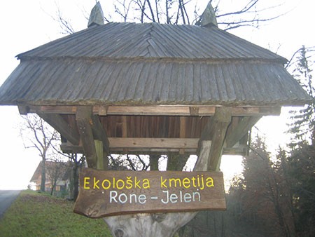 EKOLOŠKA KMETIJA RONE - JELEN, PODGORJE PRI SLOVENJ GRADCU