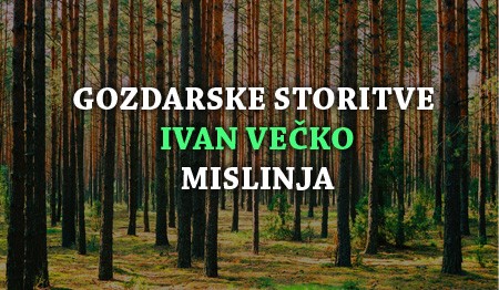 GOZDARSKE STORITVE SLOVENJ GRADEC