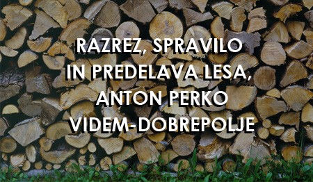 RAZREZ IN SPRAVILO LESA, ANTON PERKO, VIDEM-DOBREPOLJE