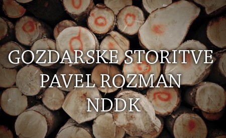 GOZDARSKE STORITVE PAVEL ROZMAN NDDK, TRŽIČ