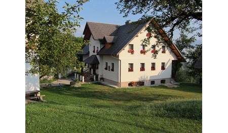 TURISTIČNA KMETIJA LJUBICA, POLJANE NAD ŠKOFJO LOKO