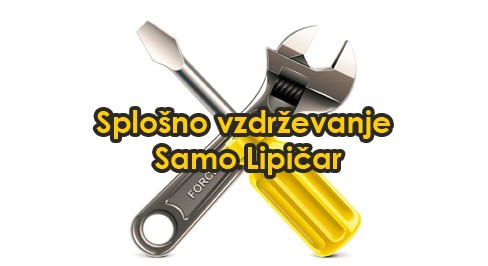 VZDRŽEVANJE OBJEKTOV IN OKOLICE, VIŠINSKA DELA, VSA HIŠNA POPRAVILA, UREJANJE OKOLICE, SAMO LIPIČAR