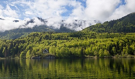 VODEN FOTOLOV V NARAVI, MIRKO ZALOKAR, BOHINJSKO JEZERO