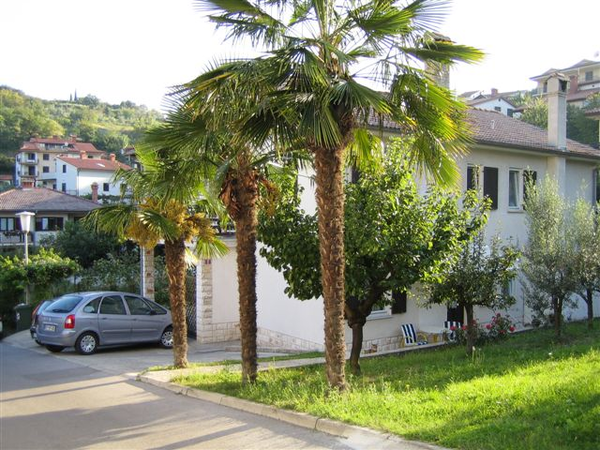 ZASEBNI  APARTMAJI  IZOLA TRI PALME